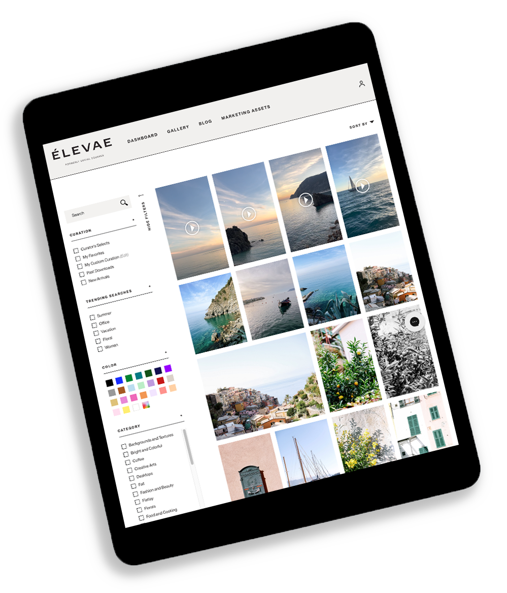iPad with Élevae Visuals website gallery on screen